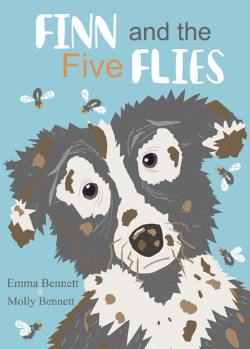Finn and the FIve Flies