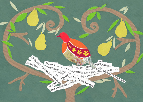 partridge in a pear tree